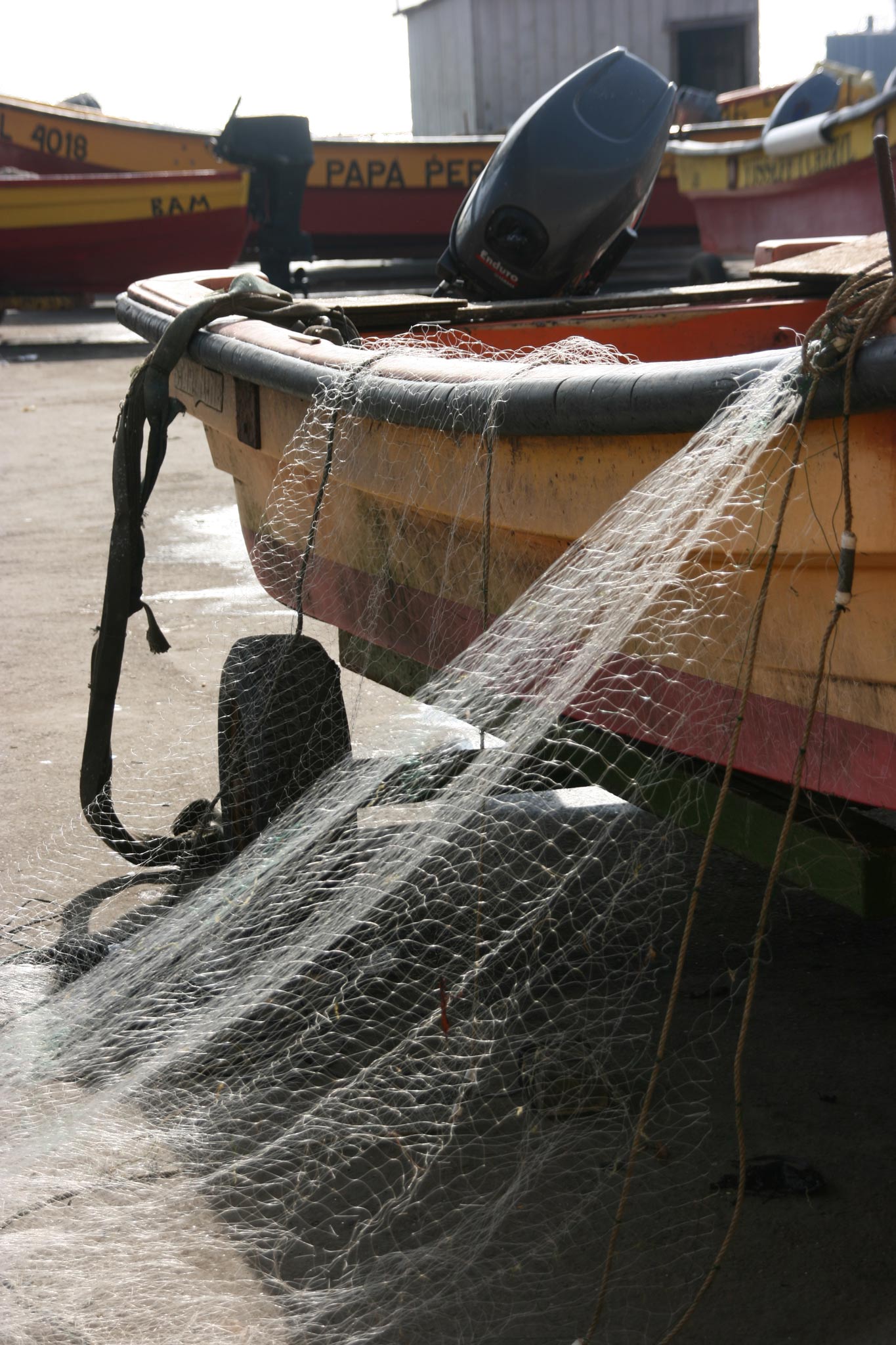 Nets at Rest, photographed in Caleta Portales, Chile