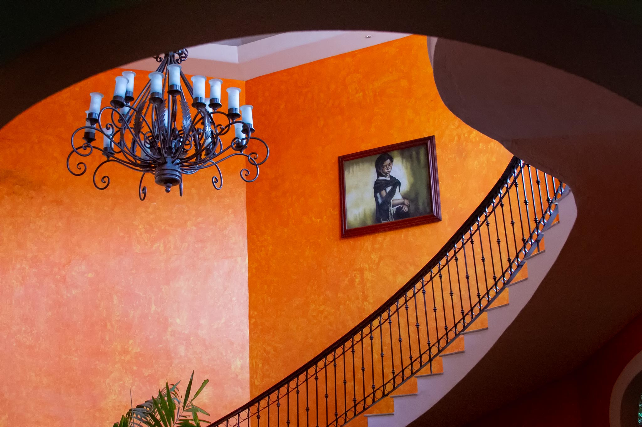 Orange Passage, photographed in Cozumel, Mexico