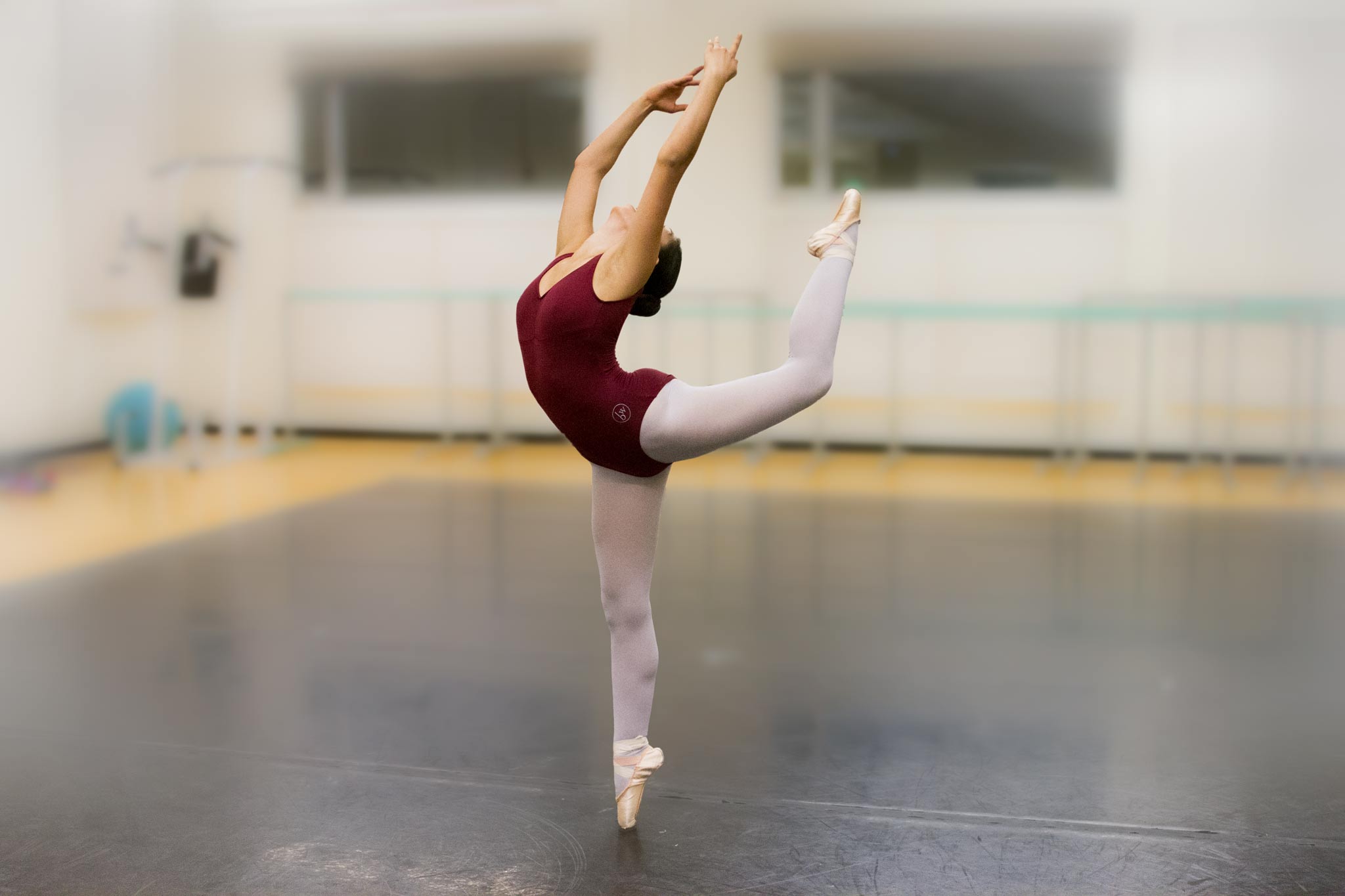 Ballet in Motion